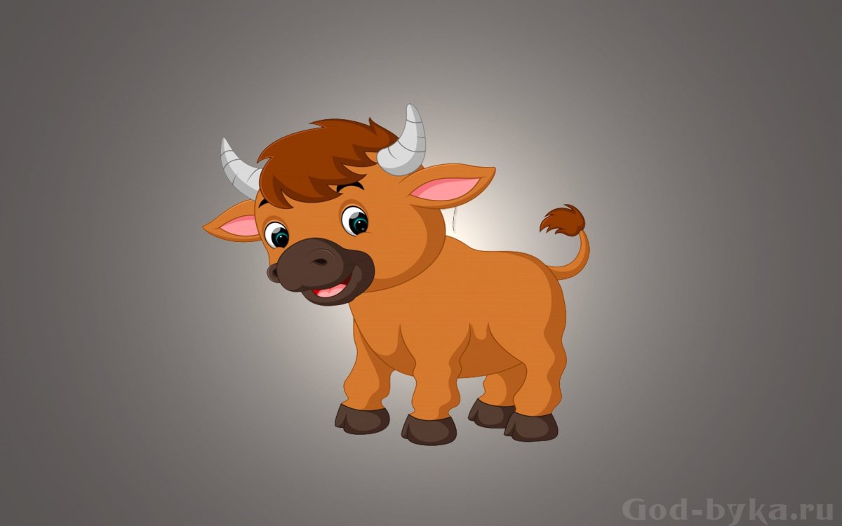 Хайлендские коровки