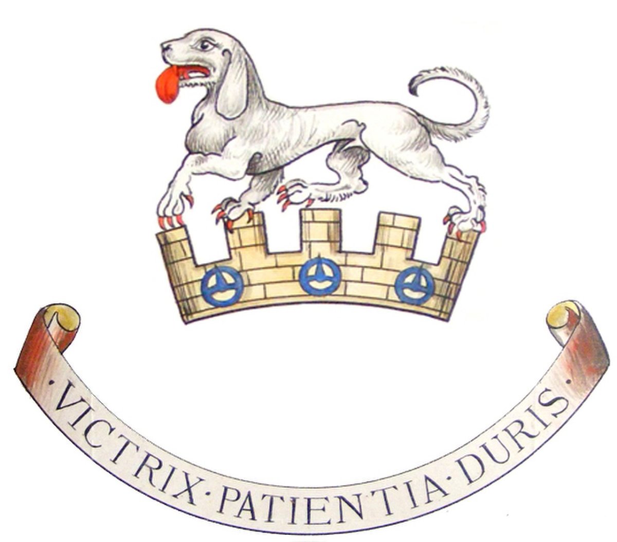 Порода собак Талбот