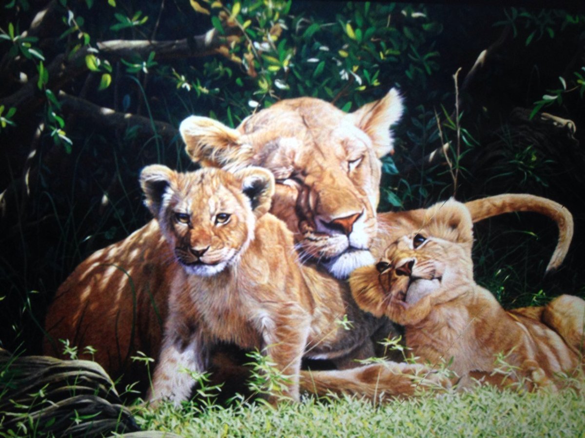 Наталья Каданцева акварель львы