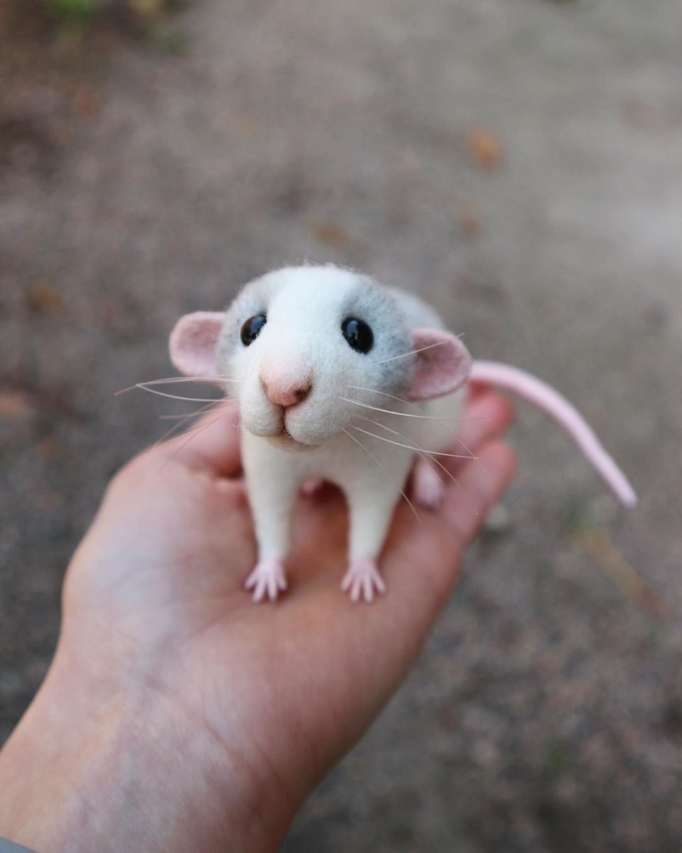 Крыса Дамбо хаски