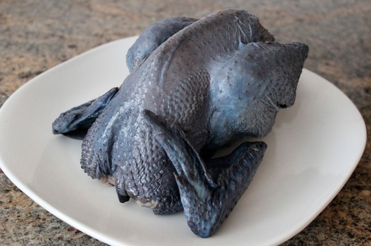 Черная курица с черным гребнем