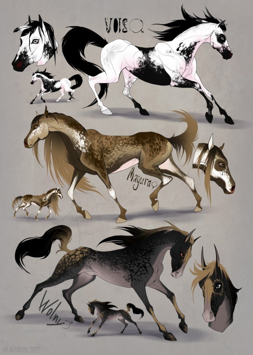 Референс мастей лошадей