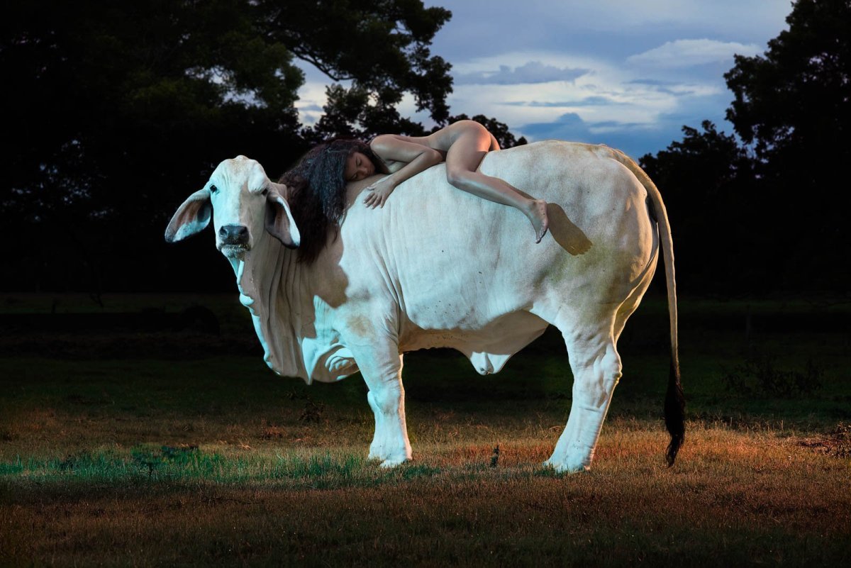 Красивая девушка с быком