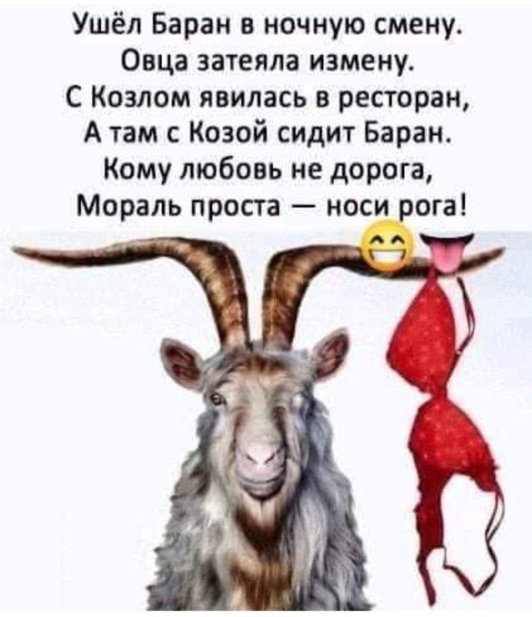Ушел баран в ночную смену