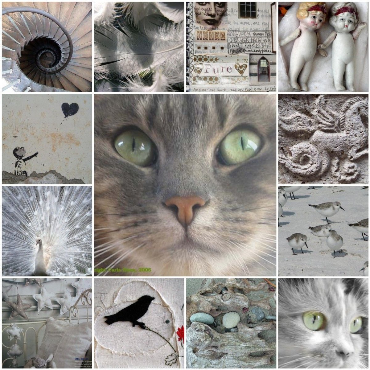 Коллаж из котиков