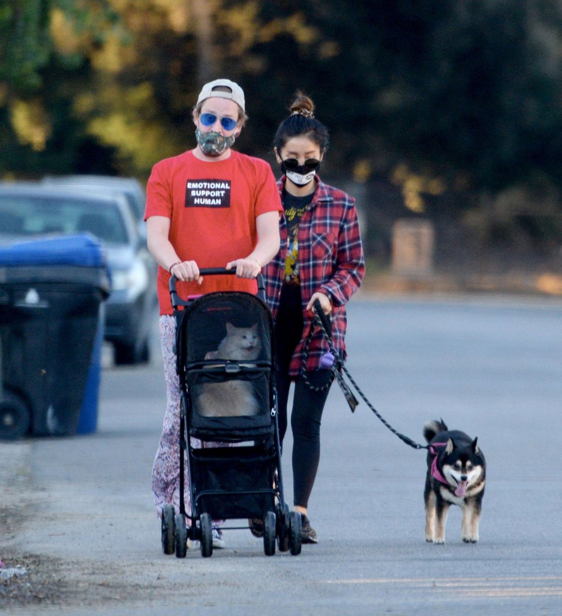 Маколей Калкин и бренда Сонг 2020