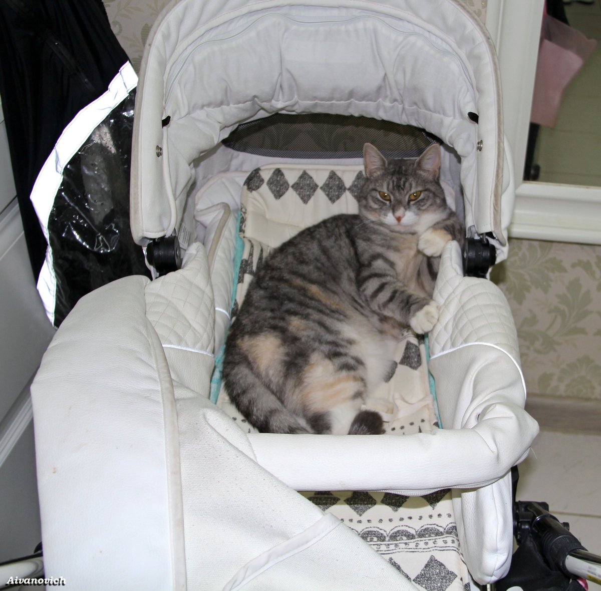 Спой мне колыбельную