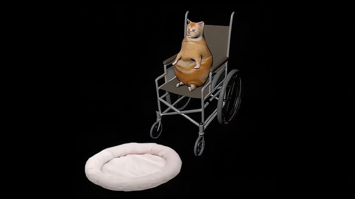 Кот на инвалидной коляске