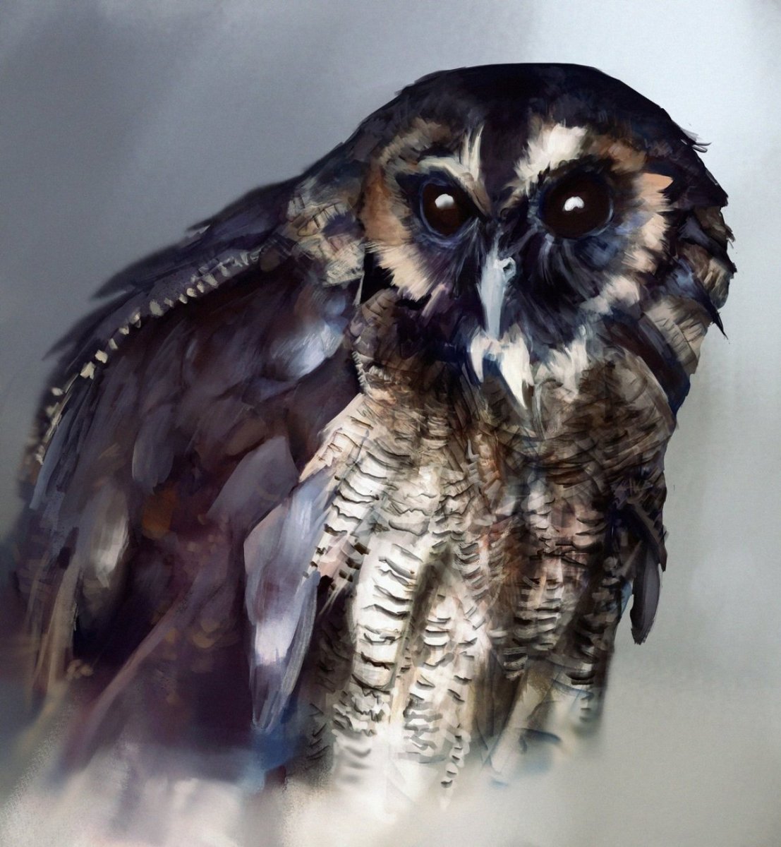 Лысый Совенок