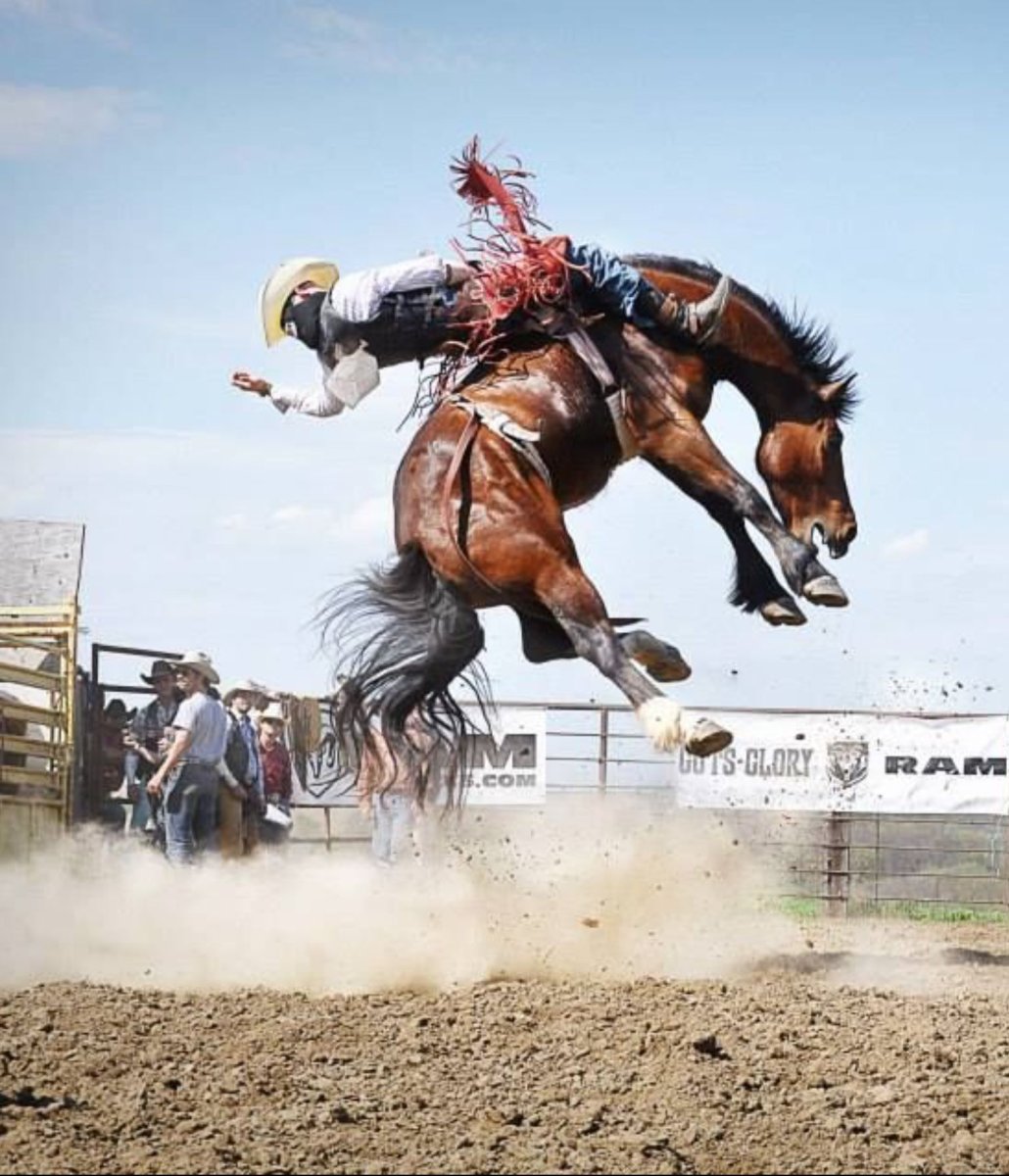 Родео за что держится ездок
