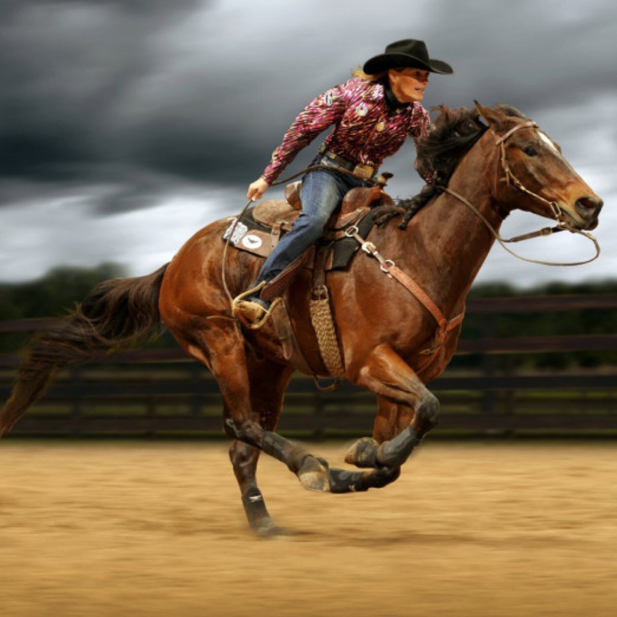 Ковбой на лошади