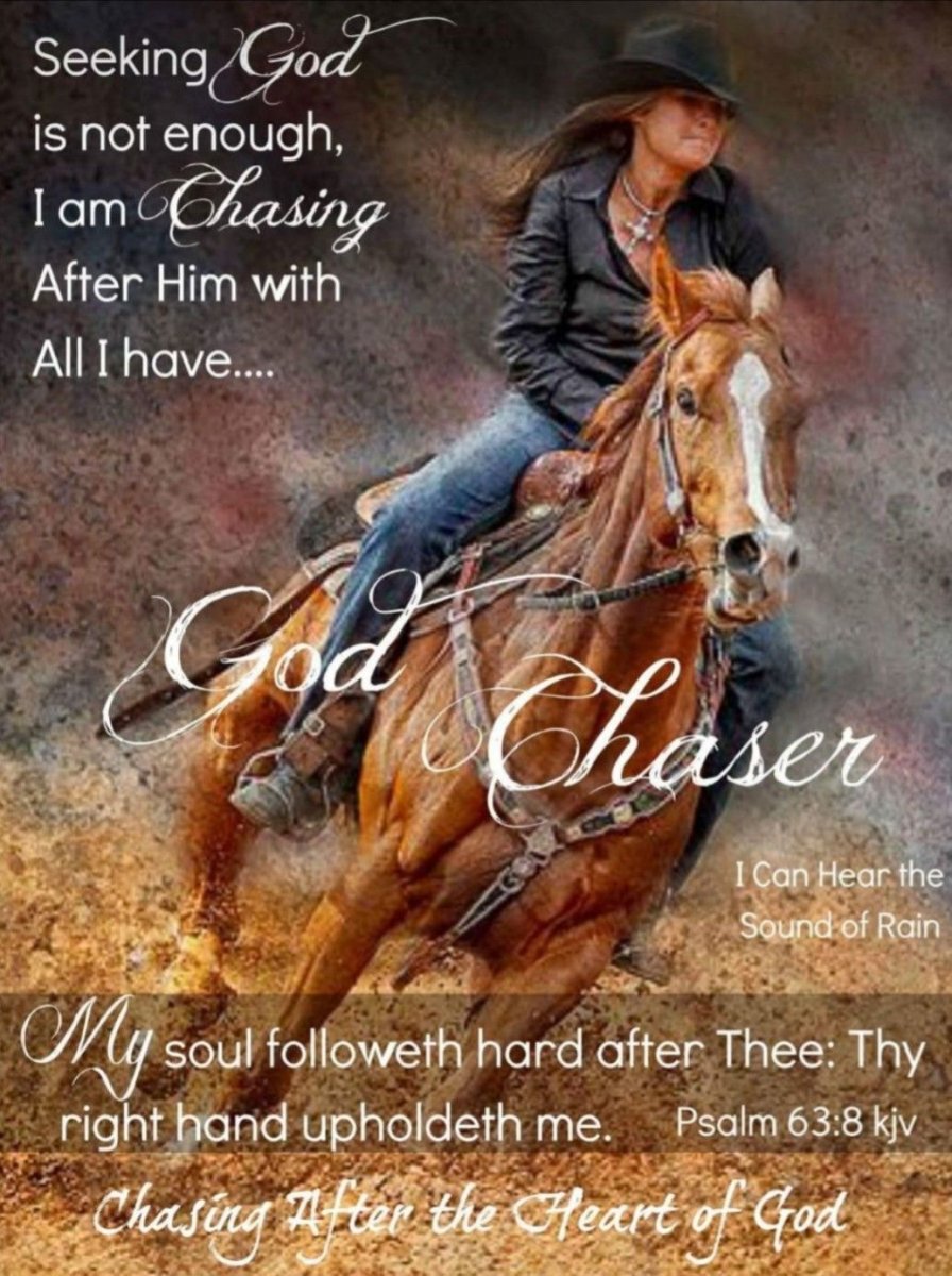 Верховая езда Эстетика