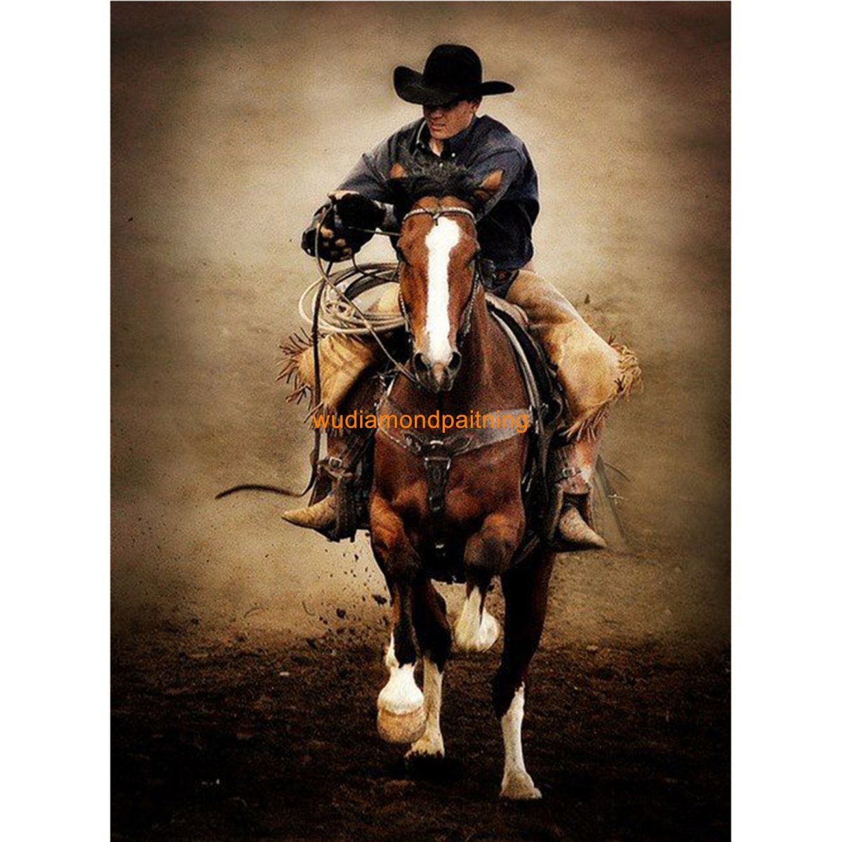 Дикий Запад родео