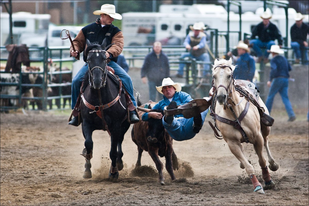 Родео скачки 2 людей