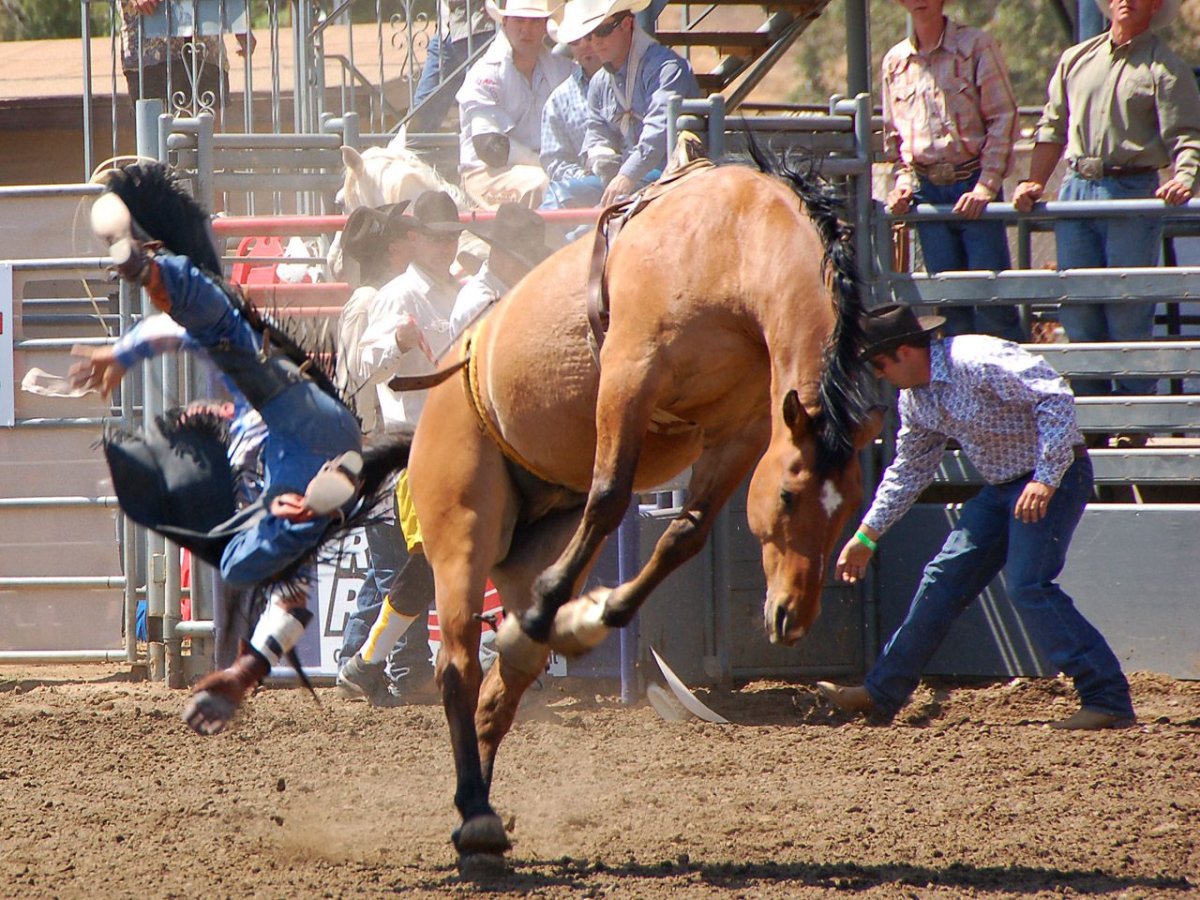 Ковбой на лошади родео
