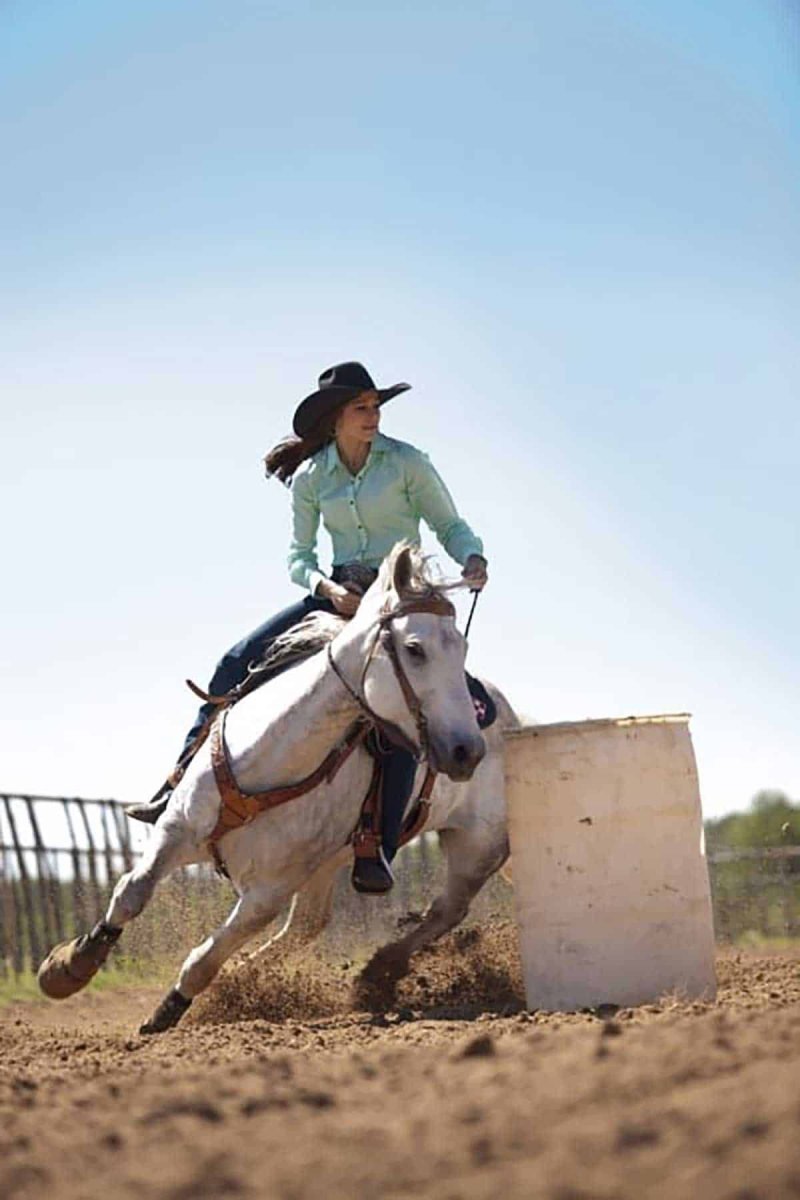 Родео картины