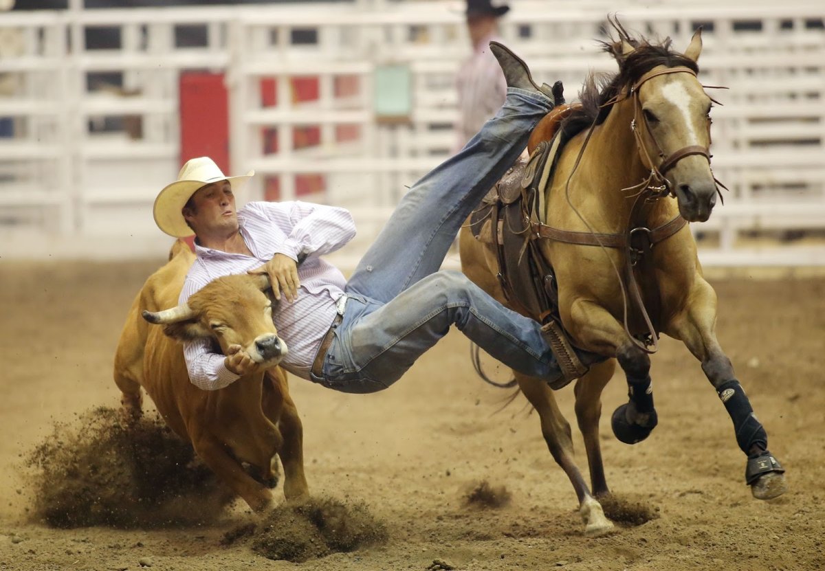 Родео на лошадях