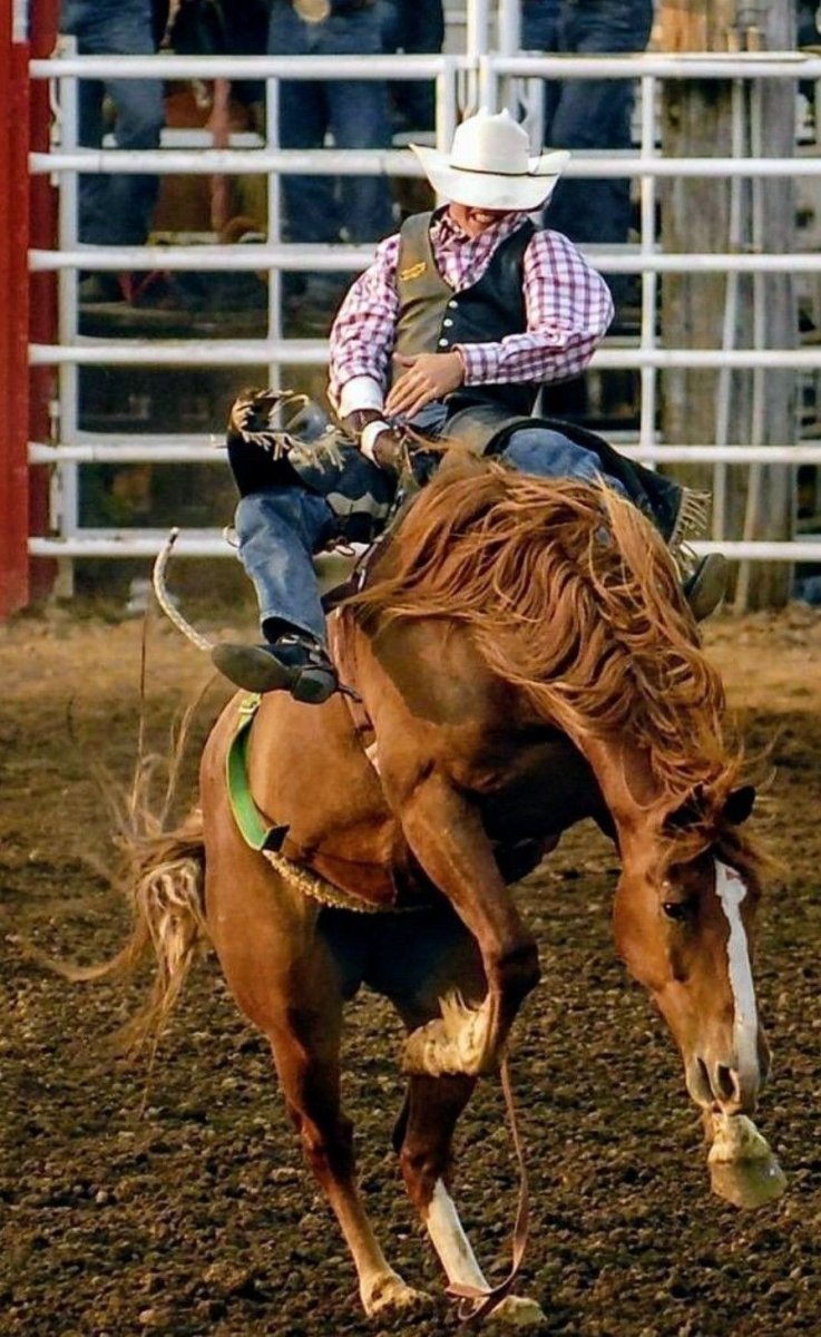 Ковбой родео