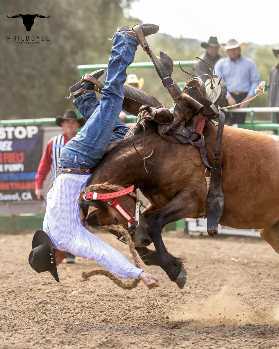 Техас родео