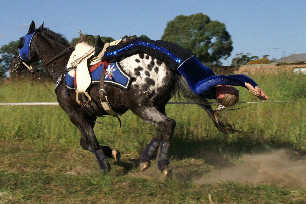 Вестерн джигитовка