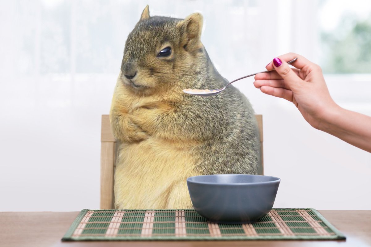 Морда суслика