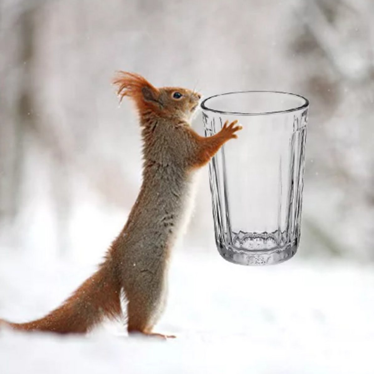 Белка из ледникового периода