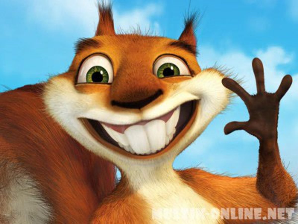 Белка Хэмми