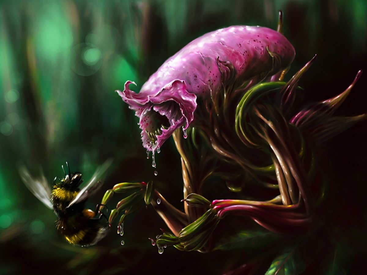 Венерина мухоловка монстр