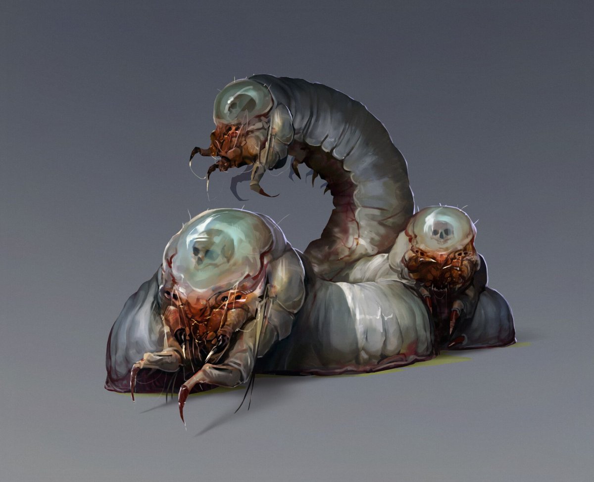 Высокоразвитые существа