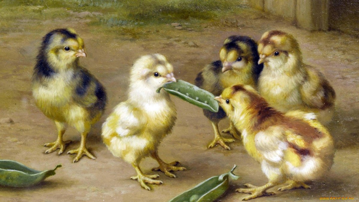 Эдгар Хант цыплята