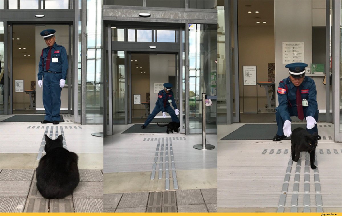 Охранник в Японии