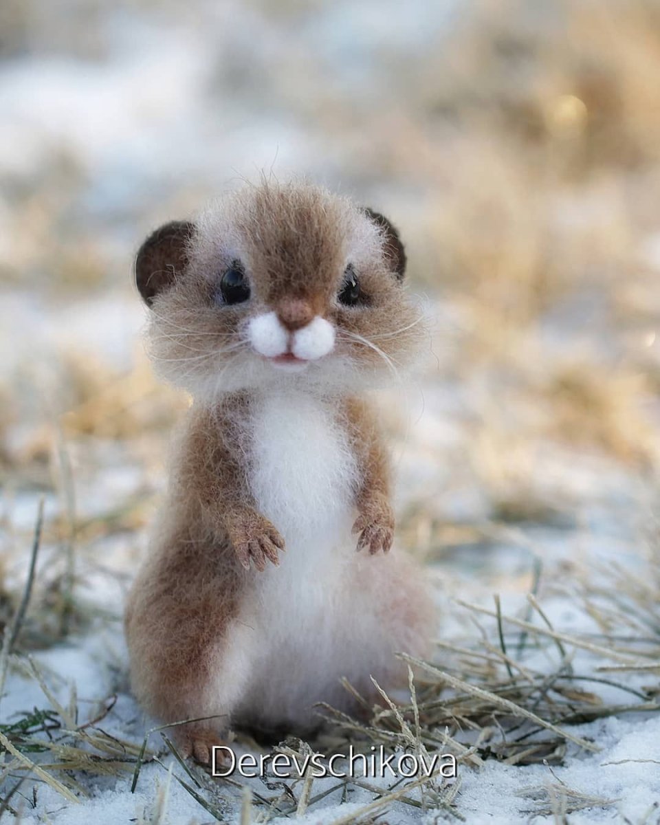 Валяние из шерсти игрушки милые животные