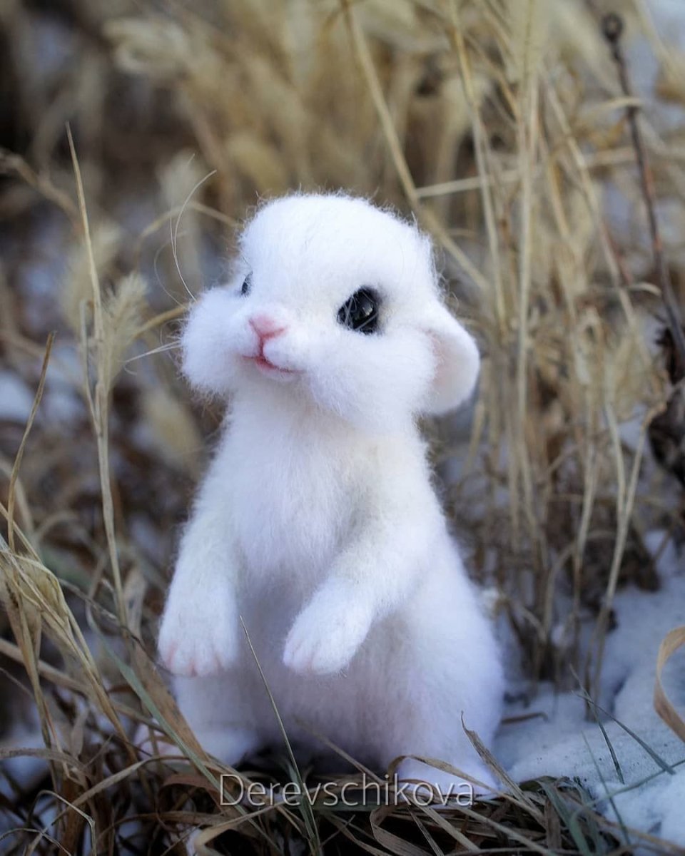 Маленькие зверьки