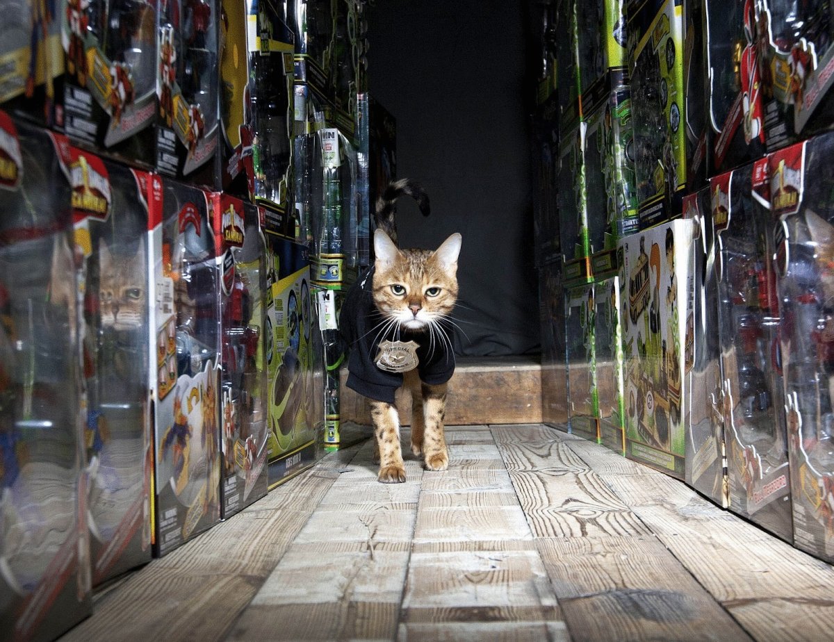 Кошки в Британии на службе