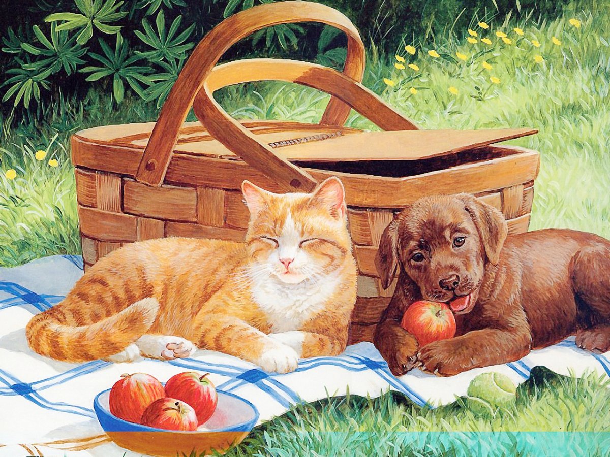 Кошка в лукошке