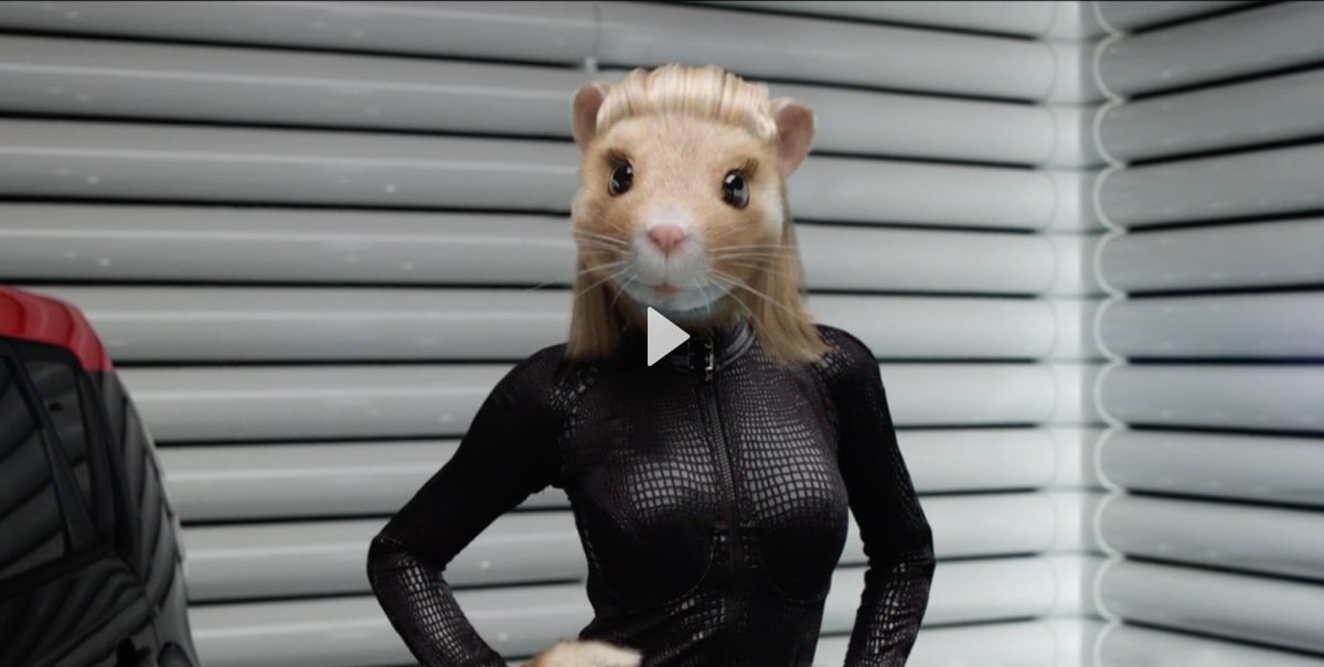 Лысые морские свинки скинни