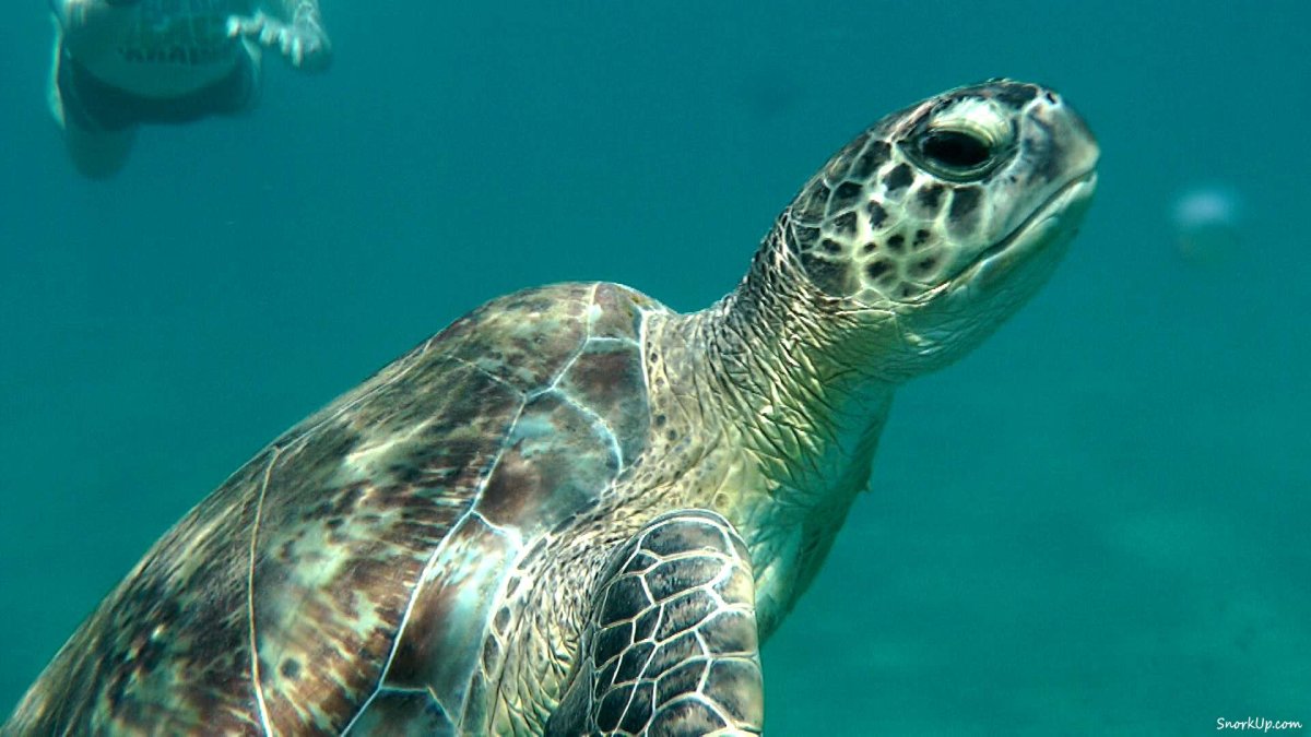 Креативный рабочий стол