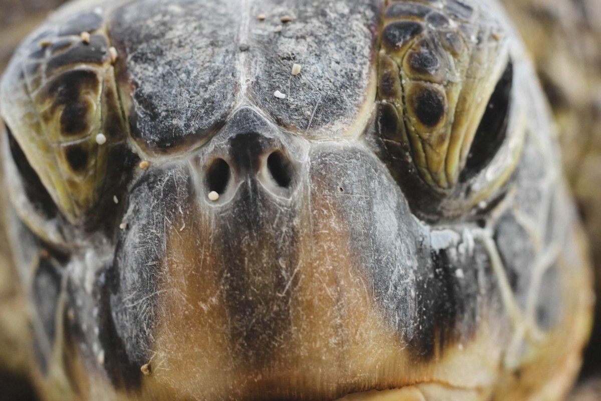 Подводный мир