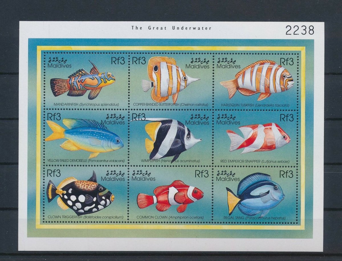 Рыбы Мальдивских островов названия