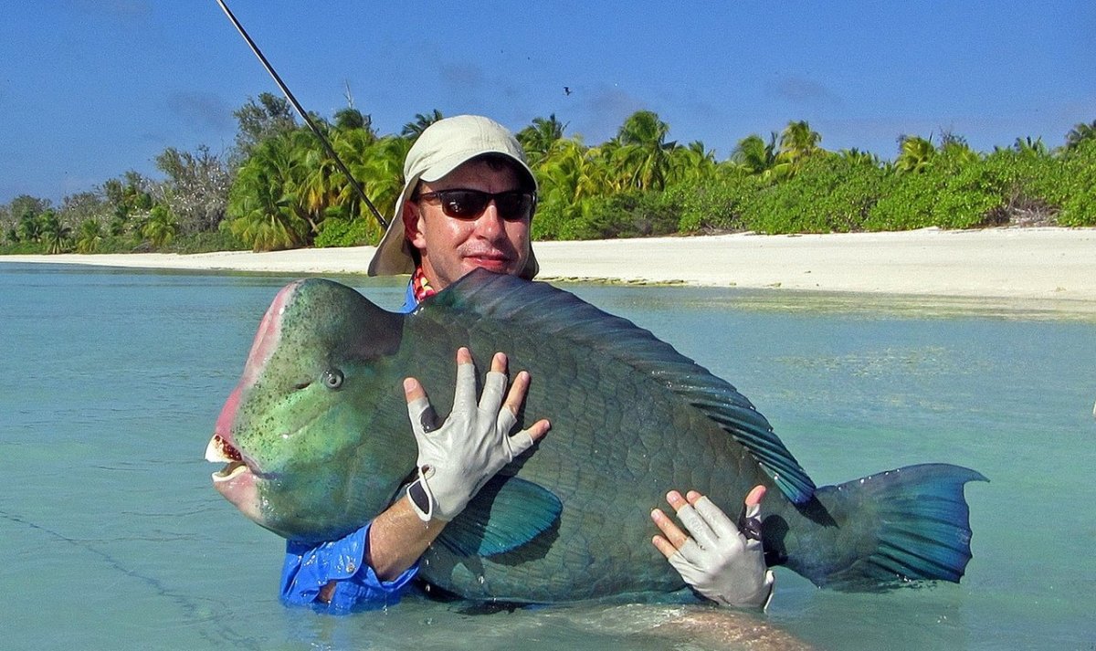 Рыбы на Мальдивах