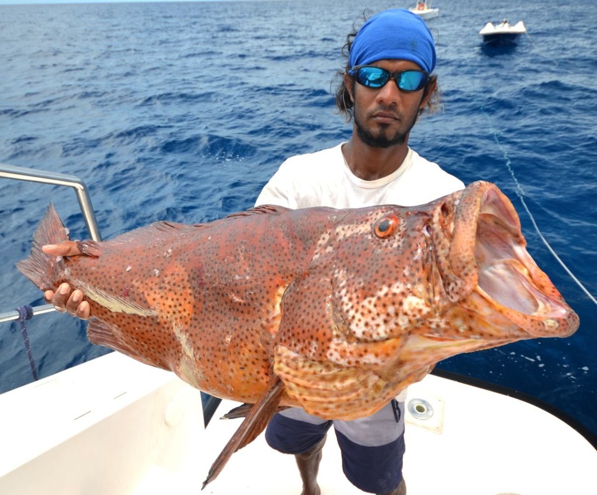 Рыбы на Мальдивах