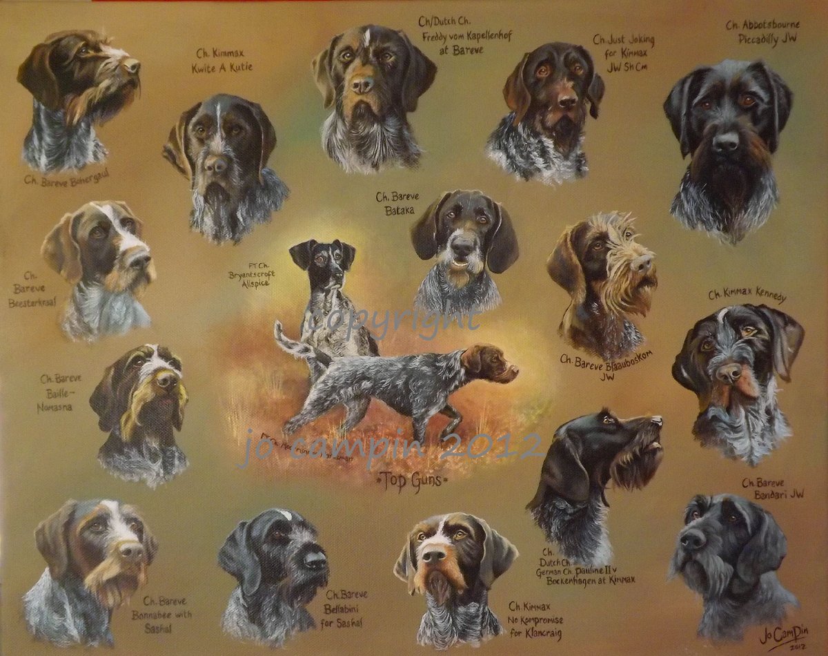 Типы пород охотничьих собак таблица