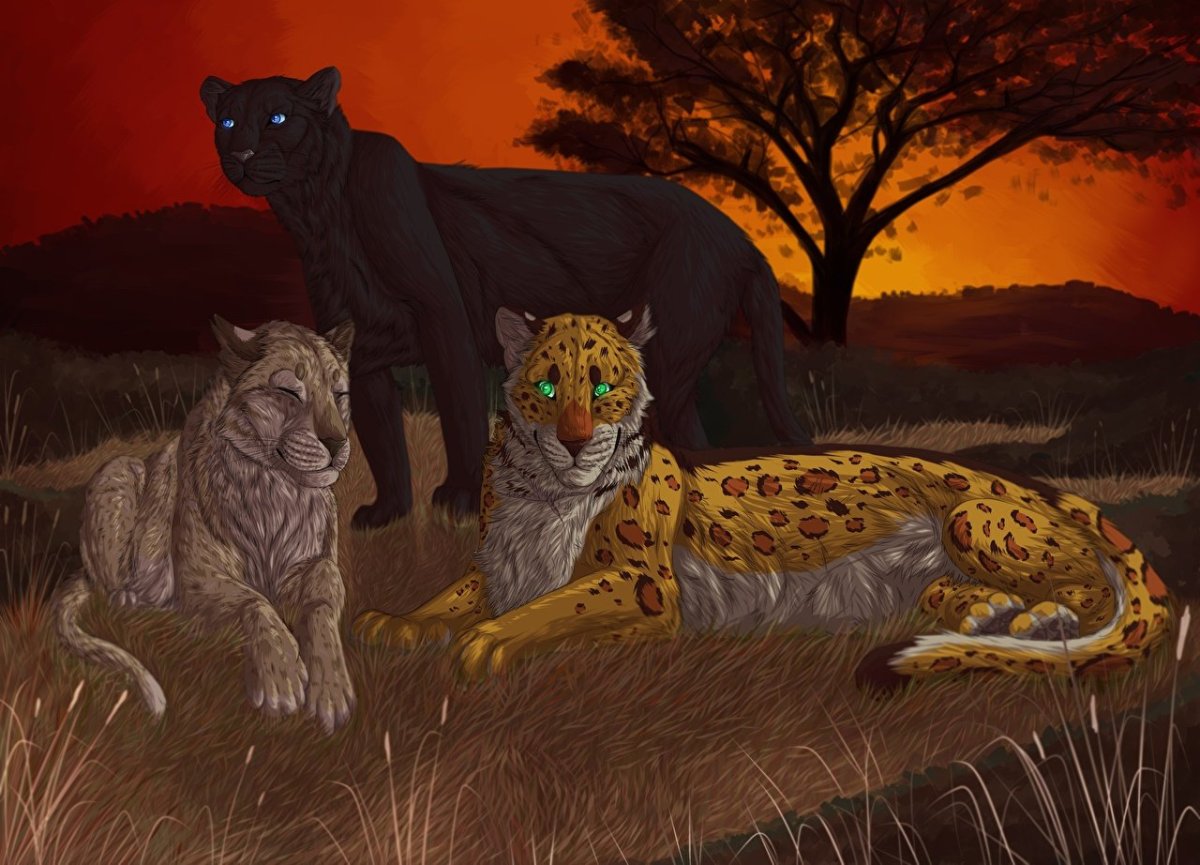 Лев тигр леопард гепард