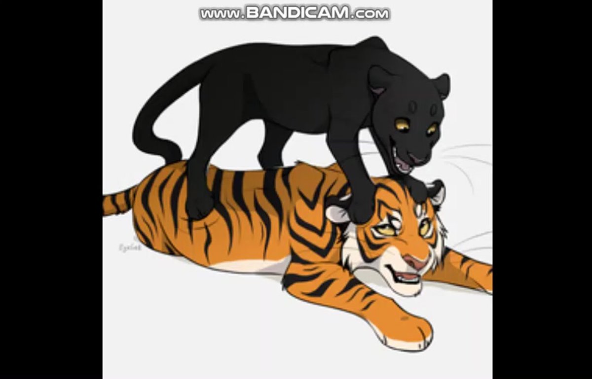 Тигр и Пума