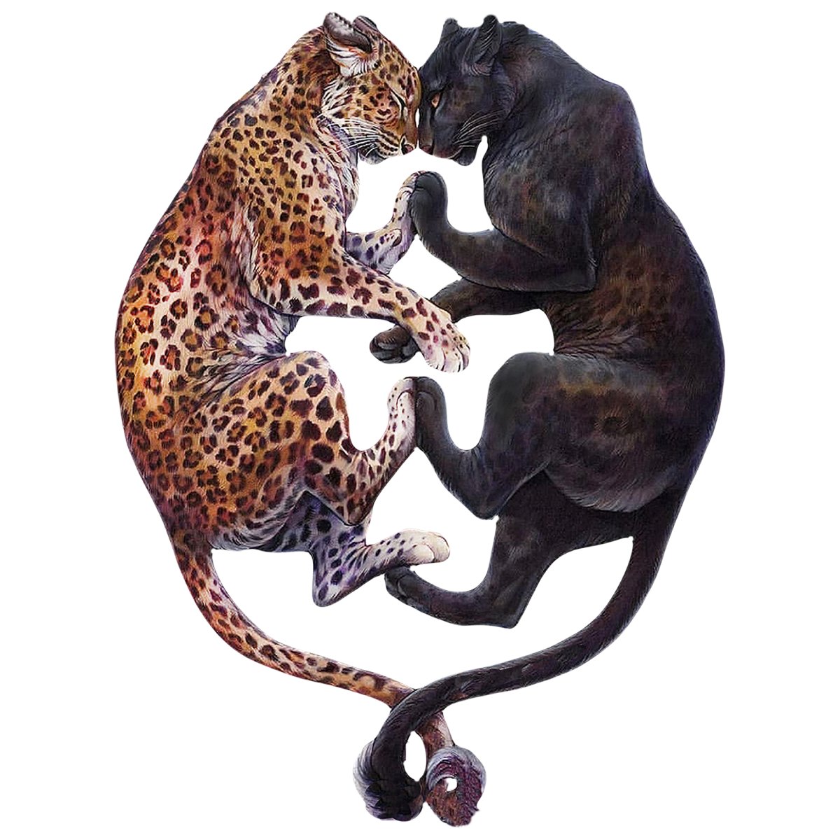 Тигр и пантера