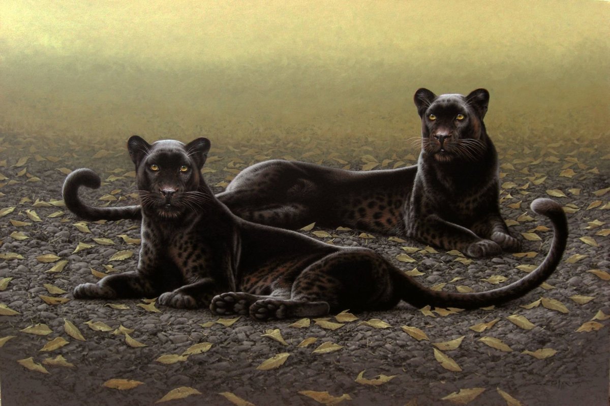 Книга джунглей Багира и Шерхан