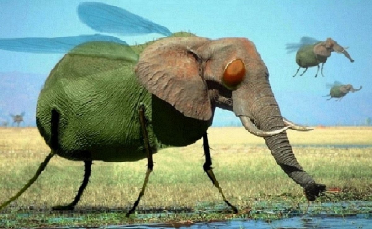 Летающий слон