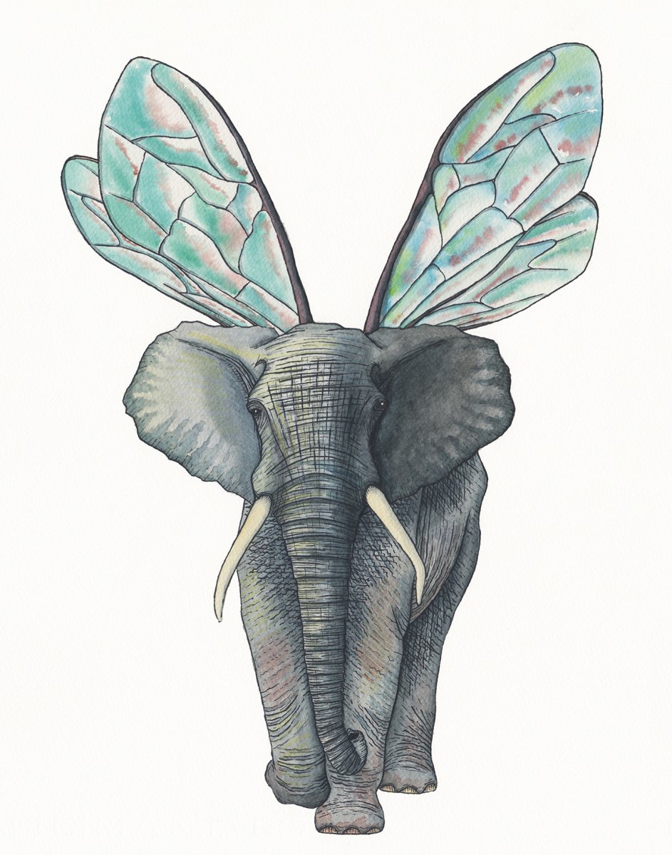Слоненок с крыльями