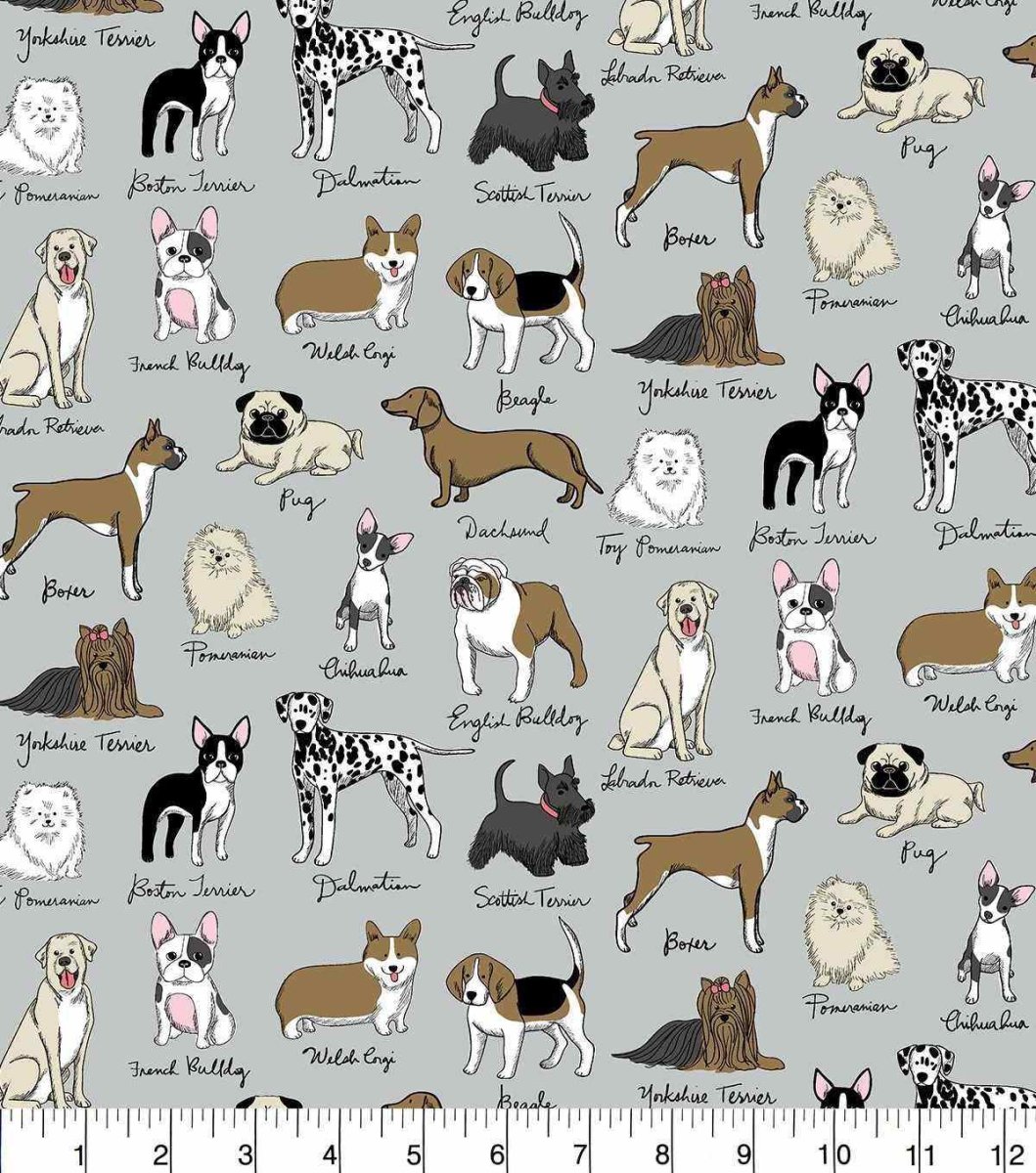 Плакат породы собак