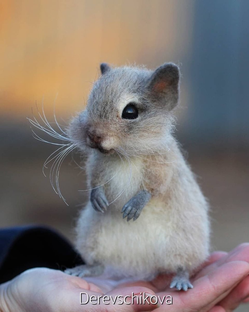 Белка Песчанка